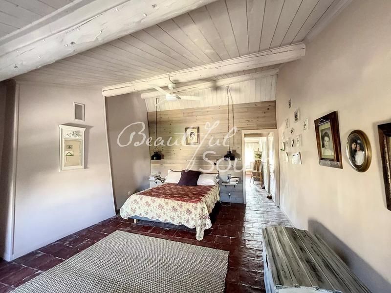 Hôtel particulier - 483 m² - 10 pièces