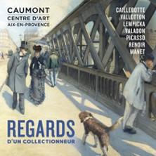 Caumont - Centre d'Art - Exposition - Regards d'un Collectionneur