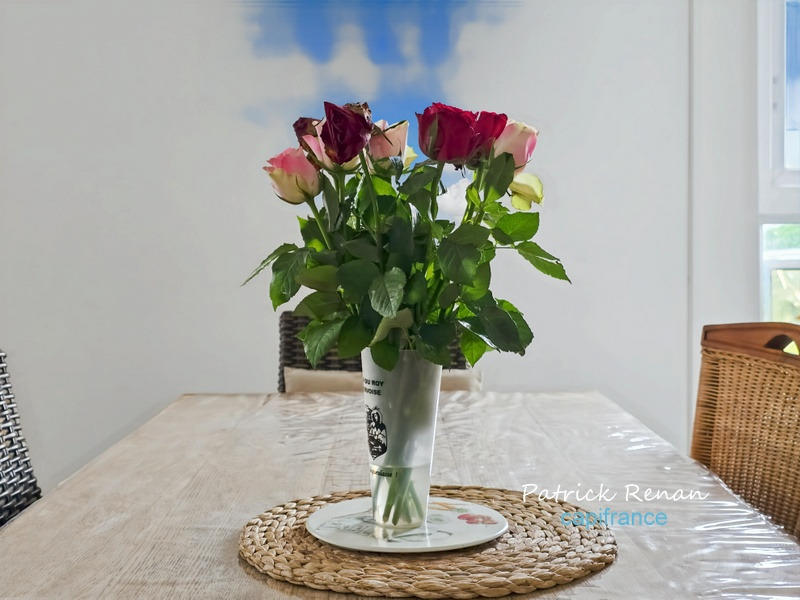 Appartement - 78 m² - 4 pièces