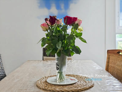 Appartement - 78 m² - 4 pièces