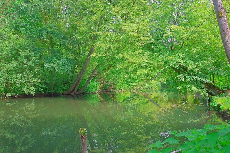 Maison - 91 m² - 5 pièces