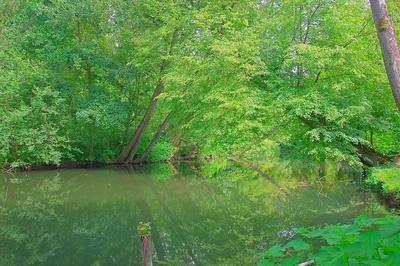 Maison - 91 m² - 5 pièces