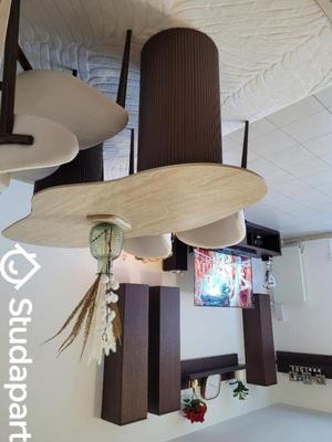 Chambre - 10 m² - 1 pièce