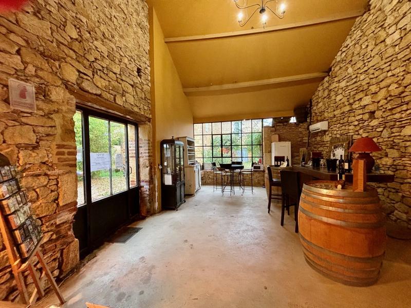 Propriété viticole - 310 m² - 15 pièces