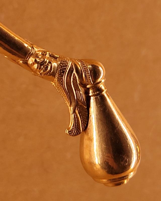 Visite guidée de l’exposition « Lavau. Un prince celte en bord de Seine »