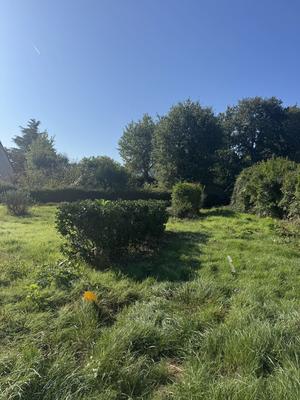 Terrain - 750 m²