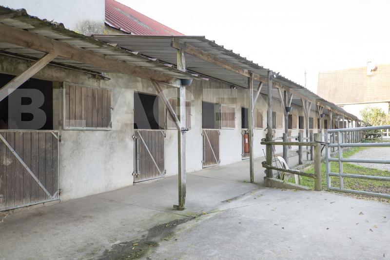 Maison de domaine équestre - 220 m² - 9 pièces