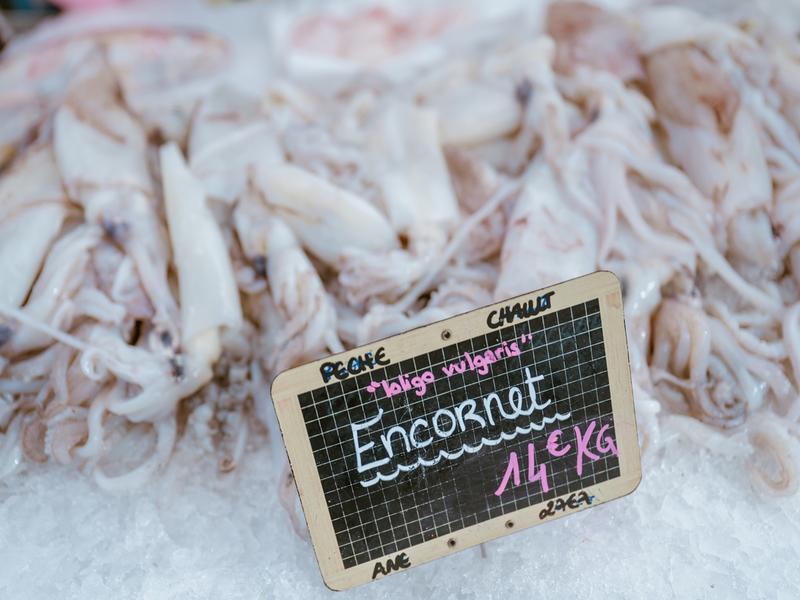 Marché aux poissons - Courseulles-Sur-Mer