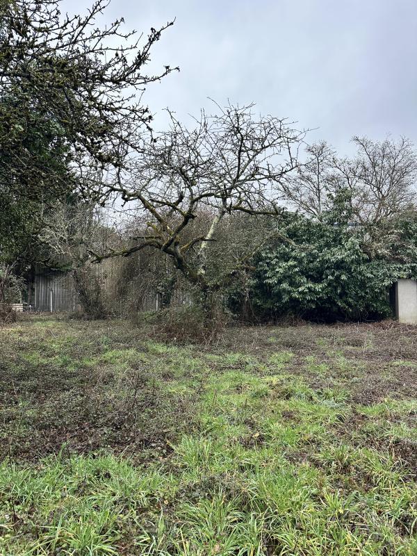 Terrain constructible - 1 500 m²