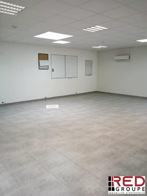 Bureau - 155 m²