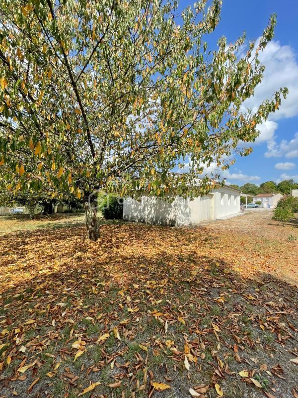 Maison - 116 m² - 5 pièces