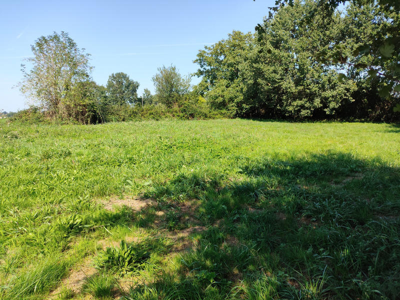 Terrain constructible - 1 055 m²