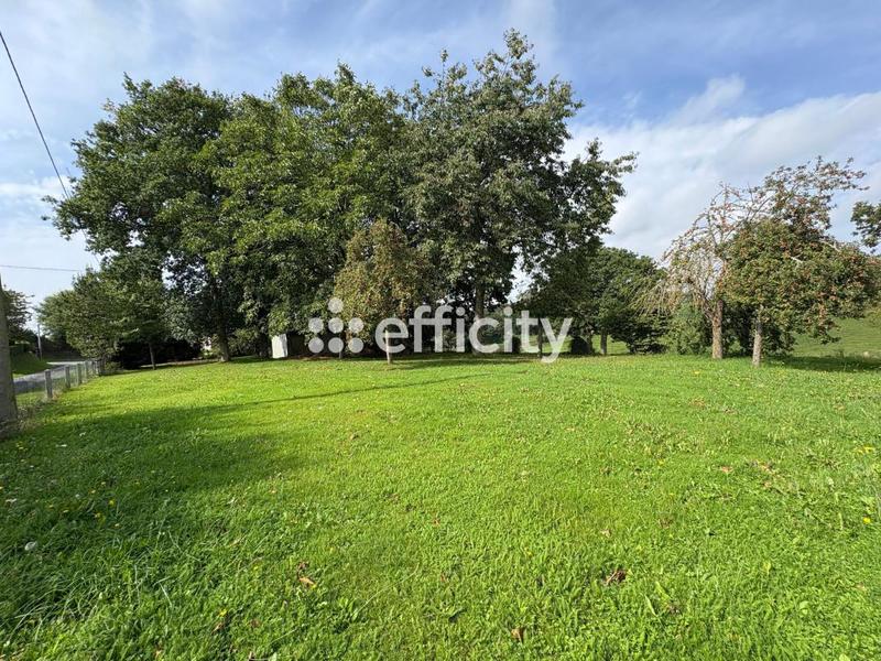 Maison en pierre - 65 m² - 3 pièces