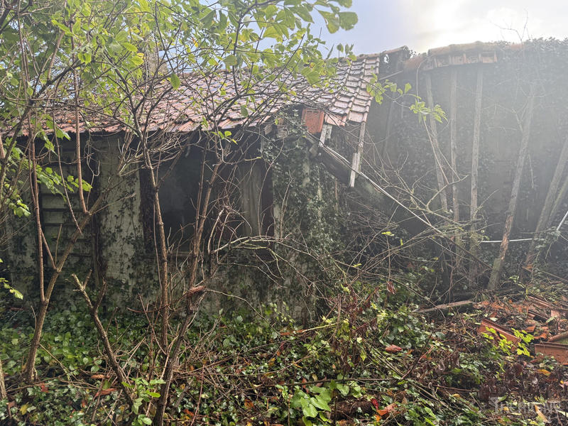 Maison - 70 m² - 4 pièces