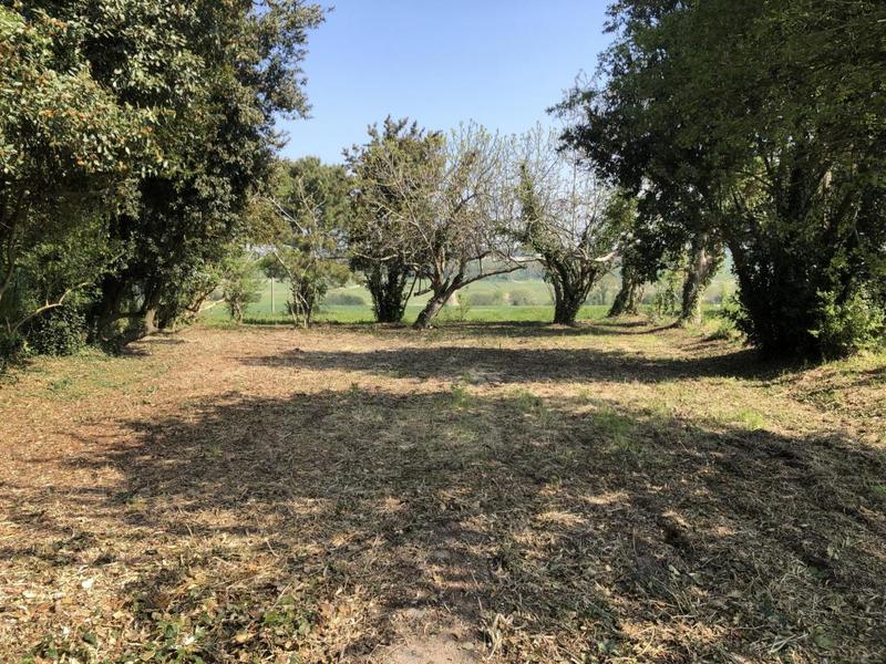 Terrain - 745 m²