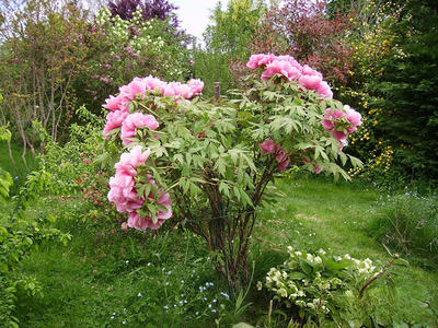 Maison - 177 m² - 7 pièces