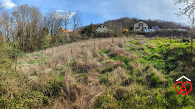 Terrain - 1 316 m²