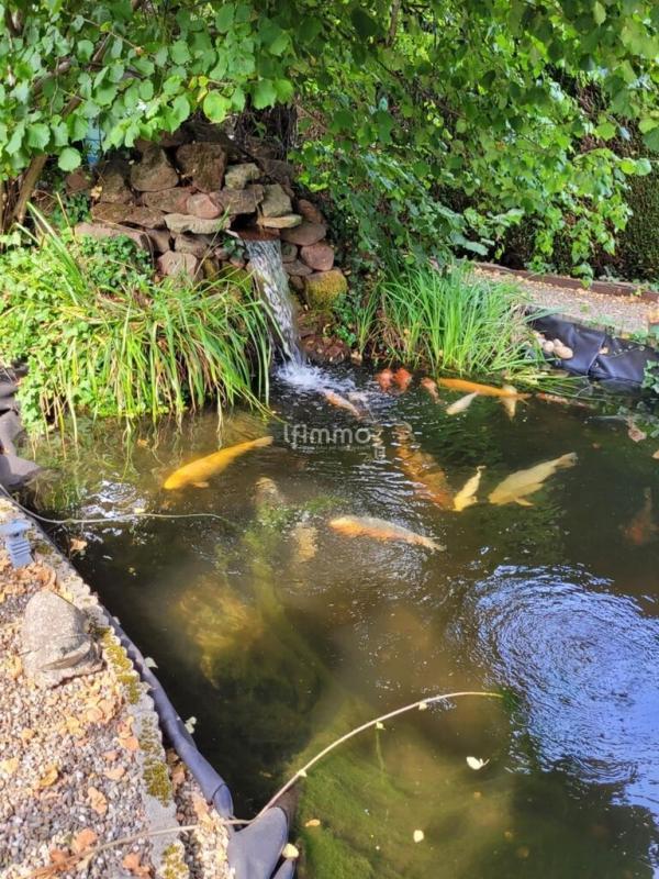 Maison - 137 m² - 5 pièces