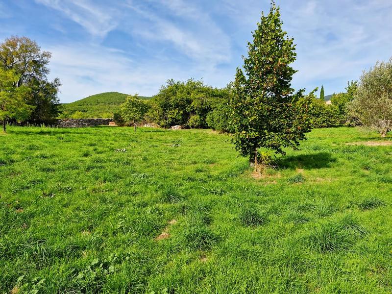 Maison en pierre - 200 m² - 5 pièces