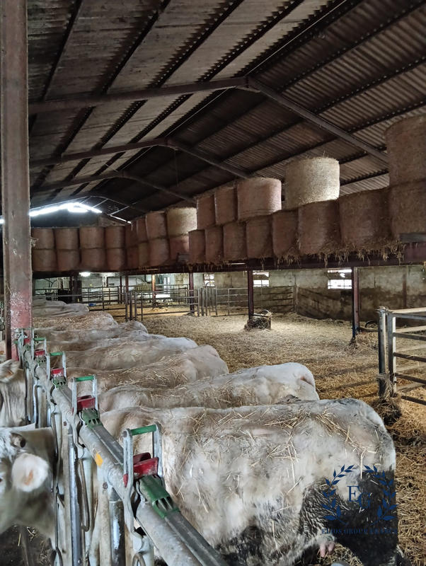 Ferme - 137 m² - 6 pièces