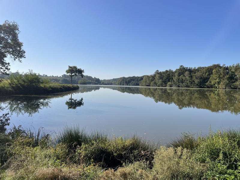 Propriété - 260 m² - 11 pièces