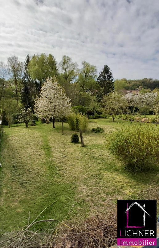Terrain - 665 m²