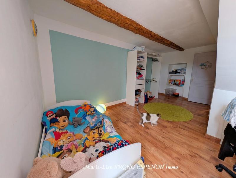 Mas - 266 m² - 8 pièces