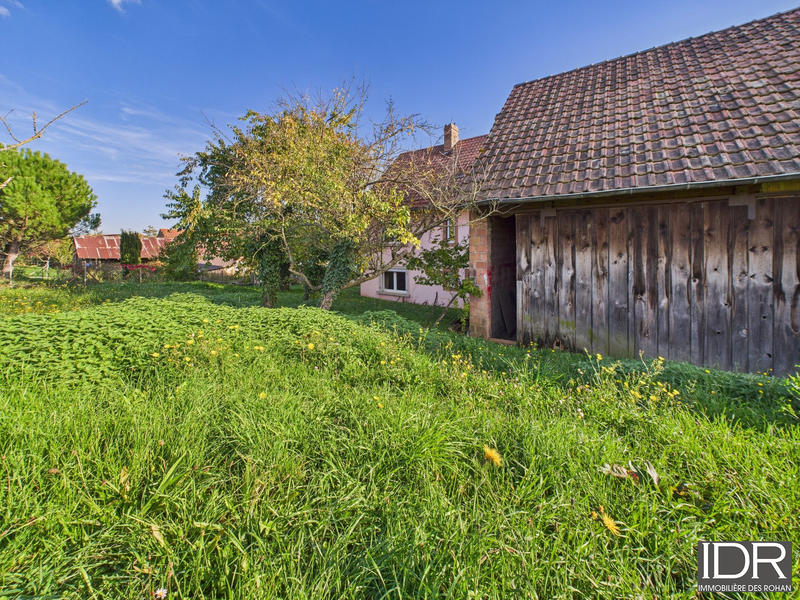 Ferme - 155 m² - 5 pièces