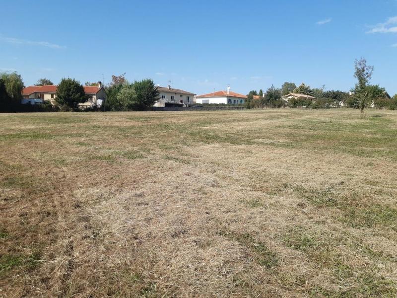 Terrain - 8 711 m²