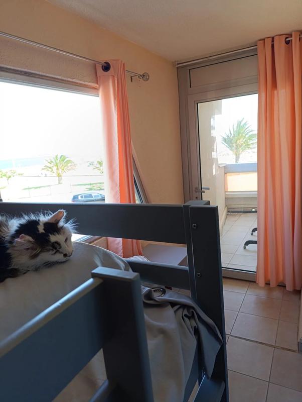 Appartement - 56 m² - 3 pièces