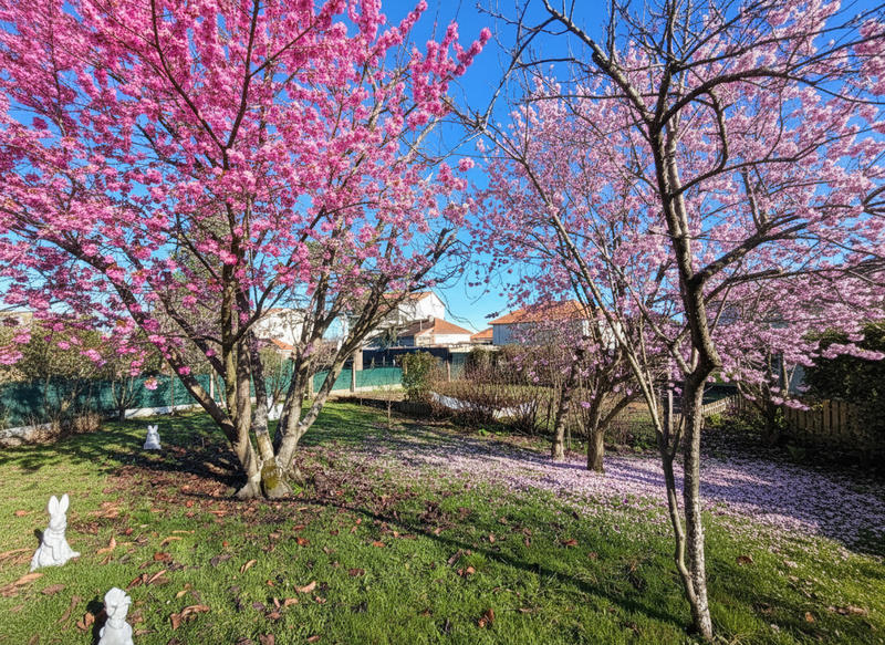 Maison - 92 m² - 4 pièces