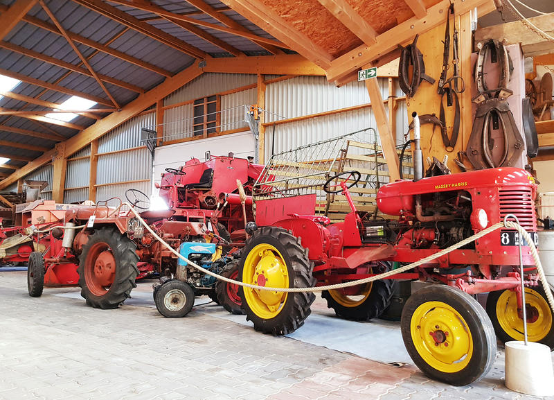 Visite guidée - Musée du Patrimoine Agricole