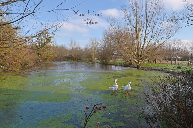 Maison - 242 m² - 5 pièces