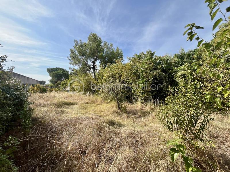 Terrain - 450 m²