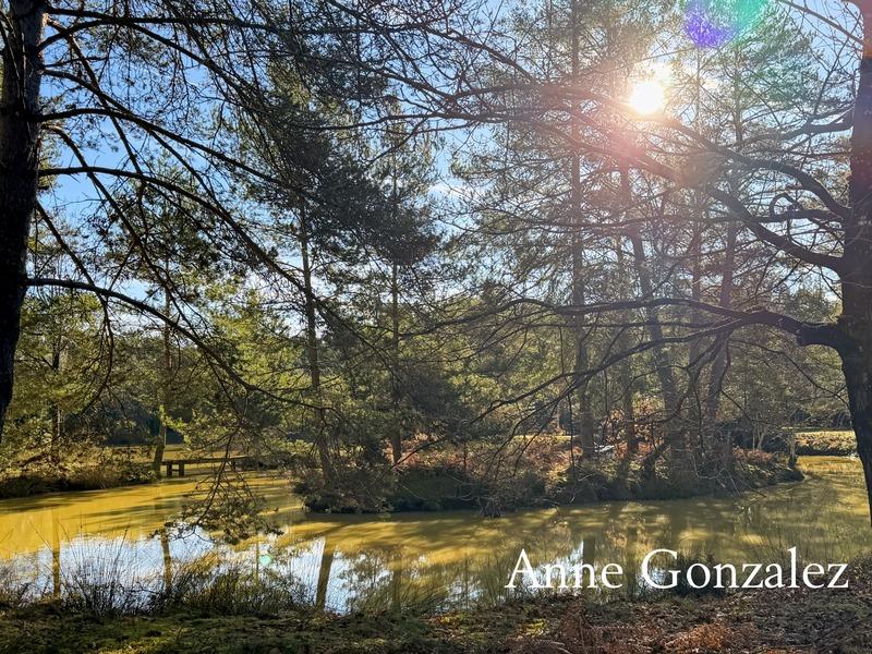 Maison - 180 m² - 6 pièces