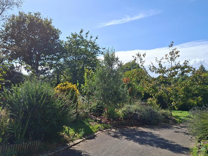 Maison - 110 m² - 7 pièces