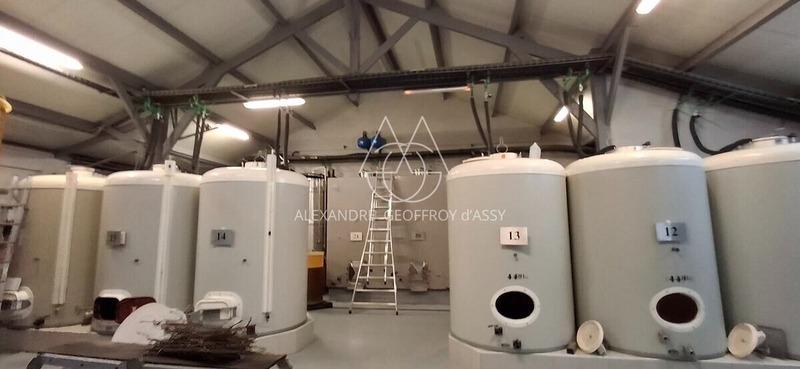 Propriété - 650 m² - 8 pièces