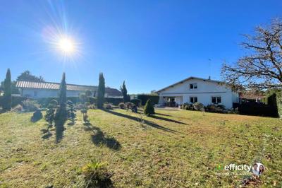 Maison - 260 m² - 7 pièces