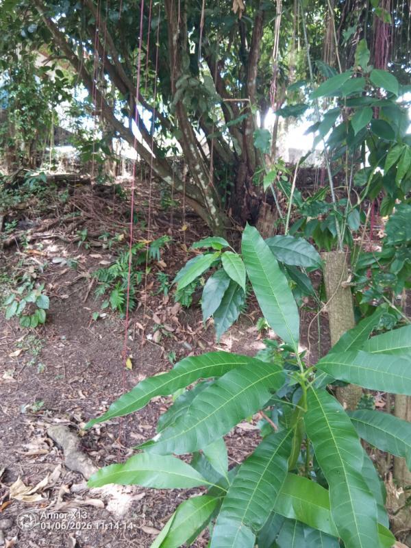 Terrain constructible - 840 m²