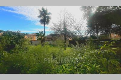 Terrain - 716 m²