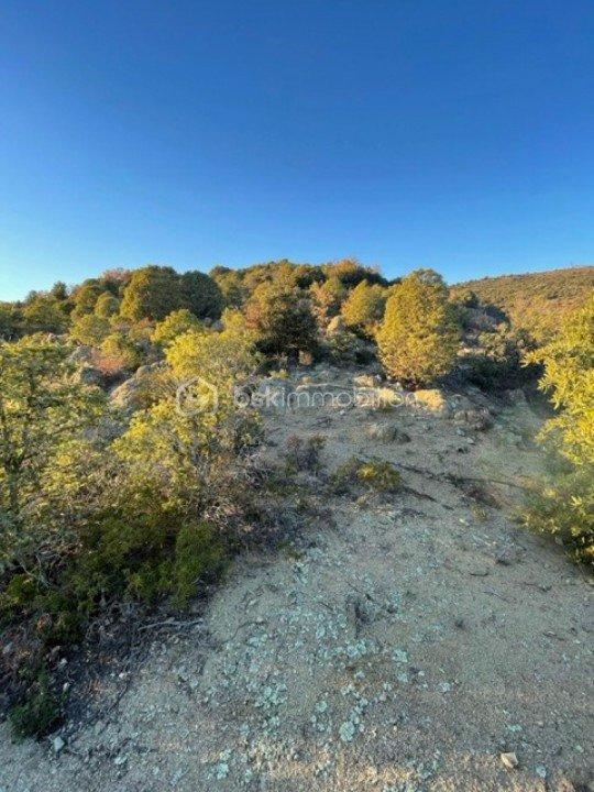 Terrain de loisirs - 2 400 m²