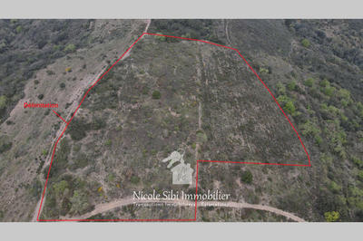 Terrain - 25 575 m²