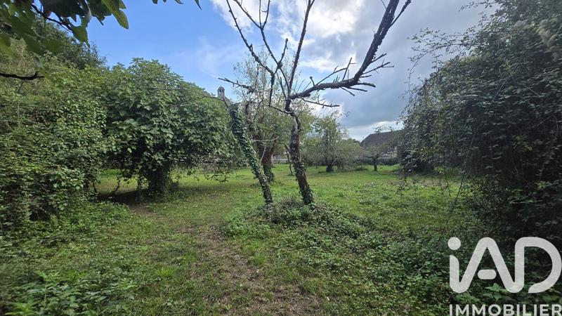 Maison de campagne - 160 m² - 5 pièces