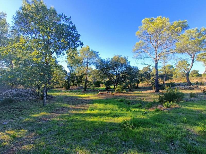 Maison - 205 m² - 6 pièces