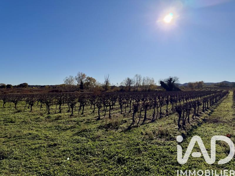 Terrain agricole - 9 227 m²