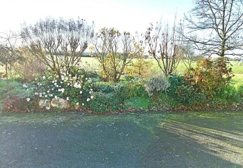 Propriété - 229 m² - 8 pièces