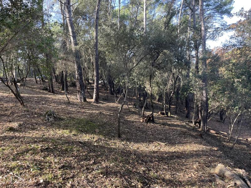 Terrain constructible - 2 610 m²