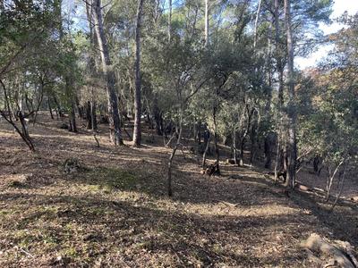 Terrain constructible - 2 610 m²