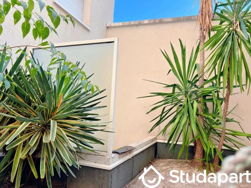 Appartement - 23 m² - 1 pièce