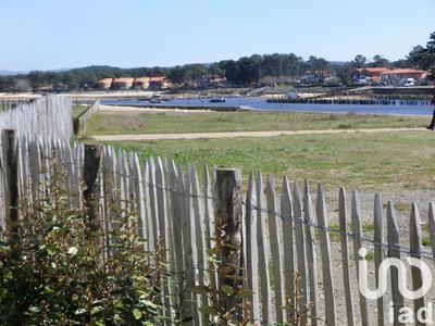 Appartement - 54 m² - 3 pièces